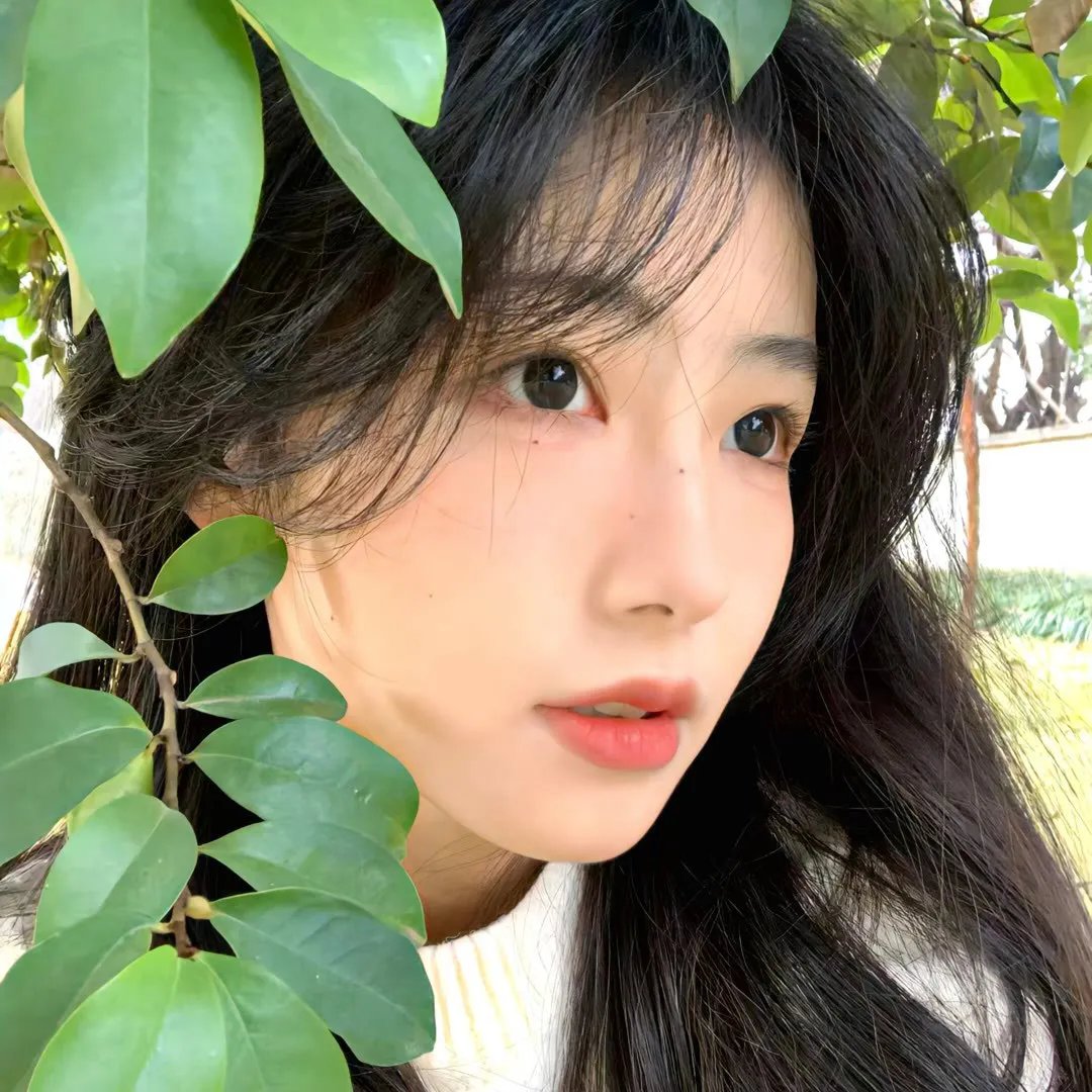 女剧盗